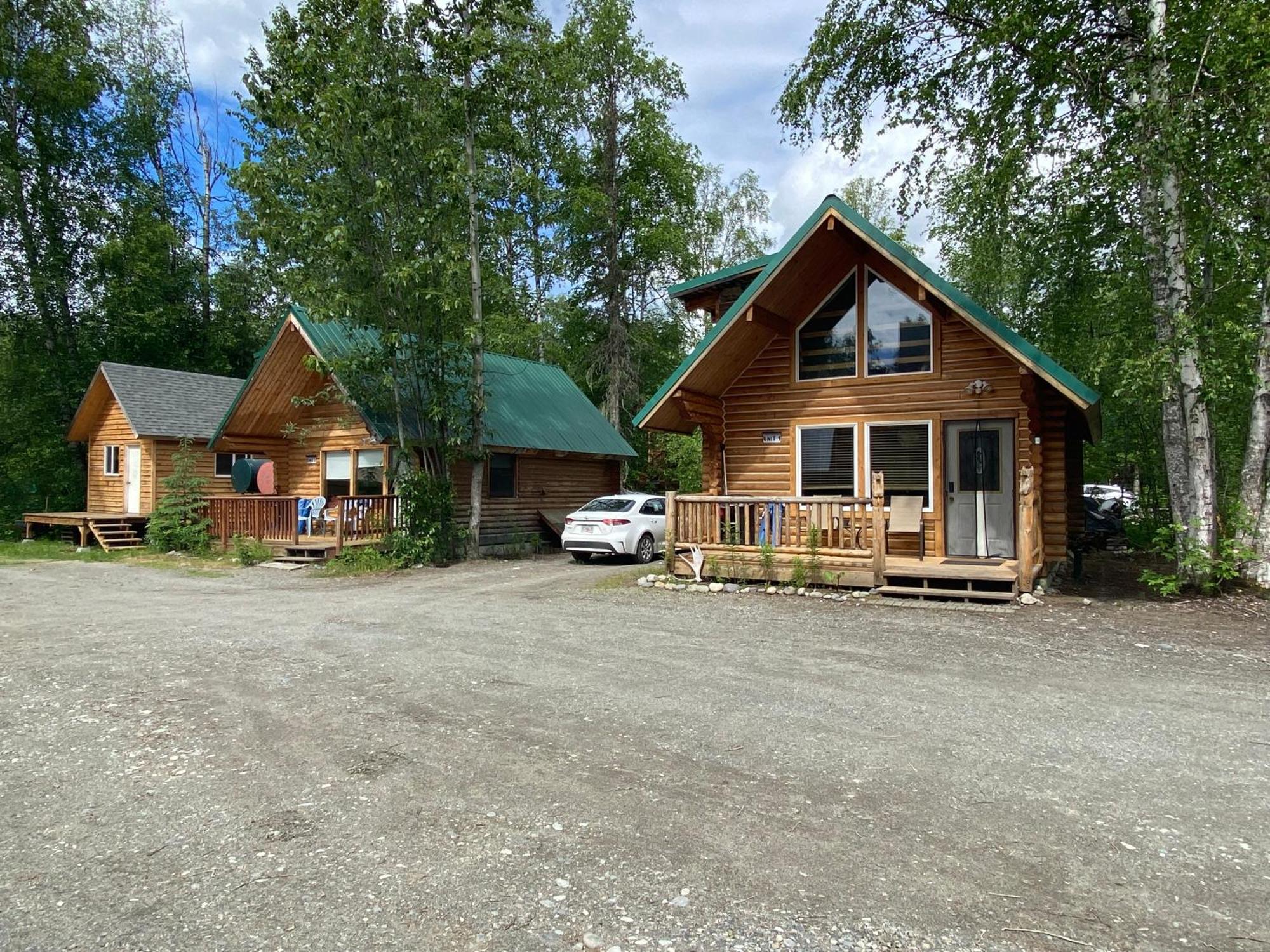 Talkeetna Log Cabin With Hot Tub Unit 2 外观 照片